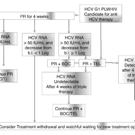 Suggested Algorithm For Hcv Genotype1 Treatment In 2013 Ce Download