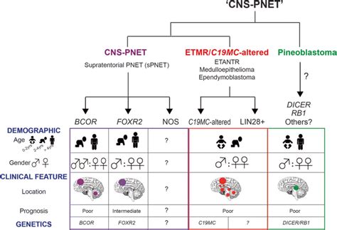 Of Recent Molecular And Clinical Classifications Of Embryonal Tumors