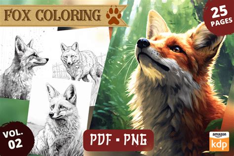 Realistic Fox Coloring Pages Vol Graphic By Sahad Stavros Studio