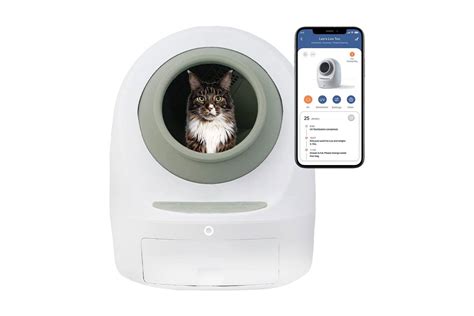 Best Automatic Cat Litter Atelier Yuwa Ciao Jp