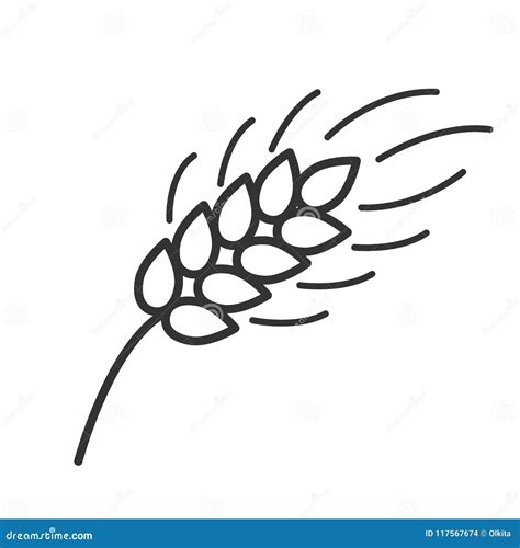 Black Isolated Outline Icon Of Ear Of Wheat On White Background Line