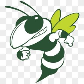 Yellow Jacket - Bartow High School Mascot, HD Png Download - vhv