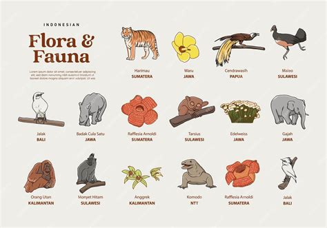 Premium Vector | Isolated Hand drawn various Indonesian flora and fauna ...