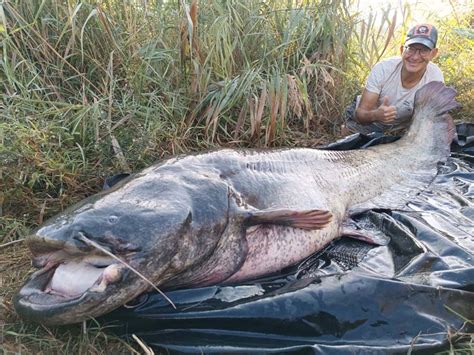 Vollguiding Am Ebro Im Oktober Extreme Ebrofishing