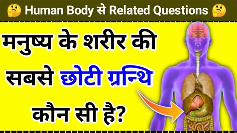 मनुष्य के शरीर की सबसे छोटी ग्रंथि कौन सी है Gk Question And Answer Youtube