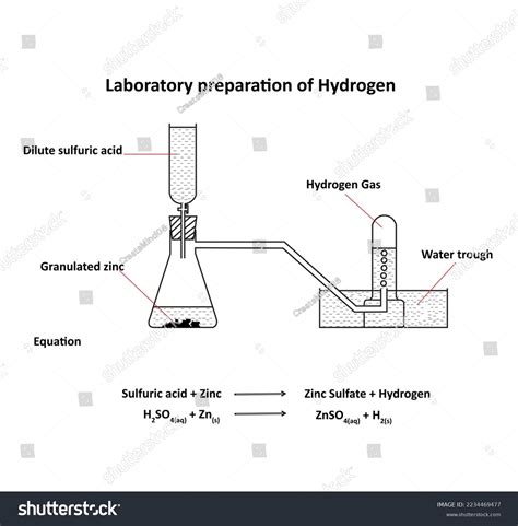 Laboratory Preparation Hydrogen Black White Drawing Stock Illustration 2234469477 Shutterstock