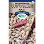 Semences Haricot Nain à écosser Coco de Prague nain 220 gr Les