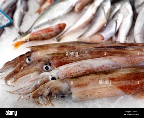 Sicily Italy Fish Market At Porticello Calamari Squid Stock Photo Alamy