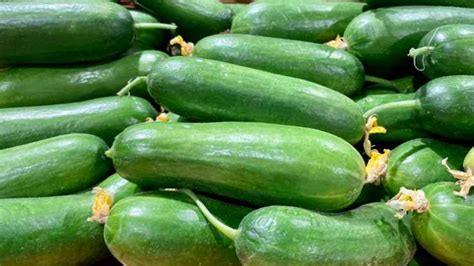 Ti è mai capitato di mangiare zucchine amare Cosa potrebbe accadere al