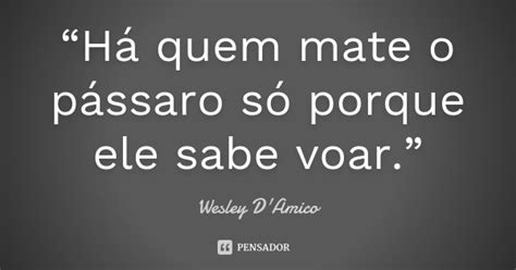 “há Quem Mate O Pássaro Só Porque Wesley Damico Pensador