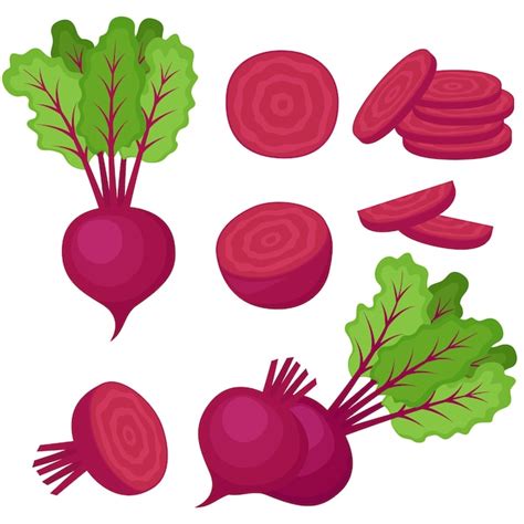 Remolacha Vegetales Enteros Mitades Y Rodajas Ilustraci N Vectorial