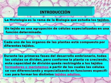 De Robertis Biologia Celular Y Molecular Pdf Consejos Celulares