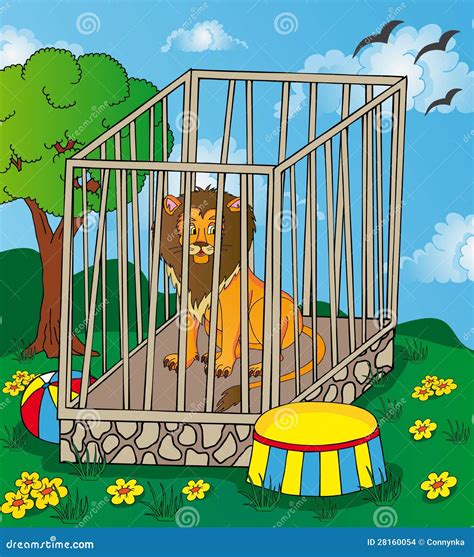 Lion In Cage Stock Vector Image Of Safari Calm Proud