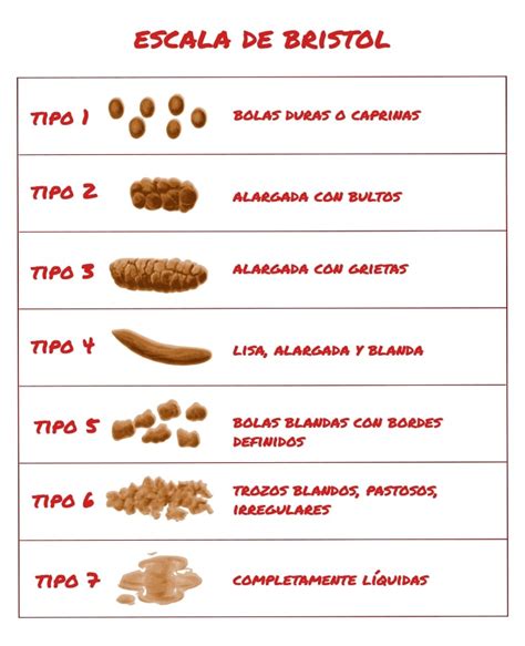 Diarrea Causas Síntomas Y Recomendaciones Digestivo Saludable