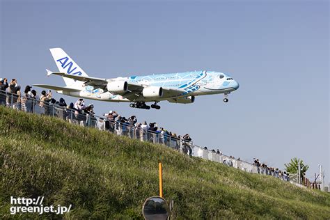 成田で飛行機～さくらの山ギャラリーとホヌ Mgt Greenjet 飛行機撮影記