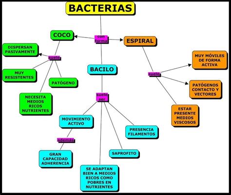 Mapa Mental Del Tema Bacterias Fitopatogenas Parte Preschool Porn