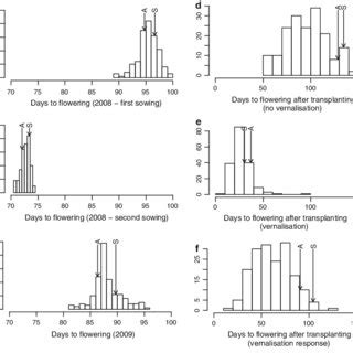 Box Plot Showing Genetic Variation For Days To Flowering In The Dh