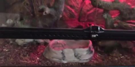 Mature MILF Real Estate Agent Bangs Her Client In The House India Summer Tnaflix