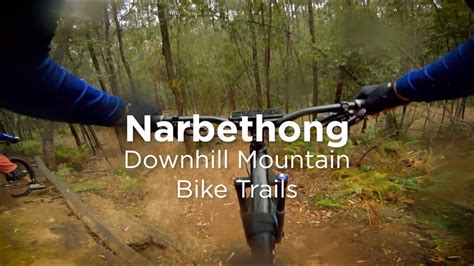 Narbethong Downhill Mountain Bike Trail Youtube