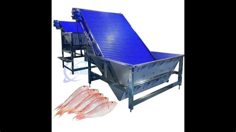 Fish Grader Automatic Fish Sorter Automatic Fish Sizing Machine Fish