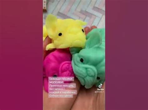 сквиши собаки песики мопсы игрушки антистресс Код товара: 697680726 ...