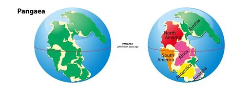 Permian Period: Climate, Animals & Plants | Live Science