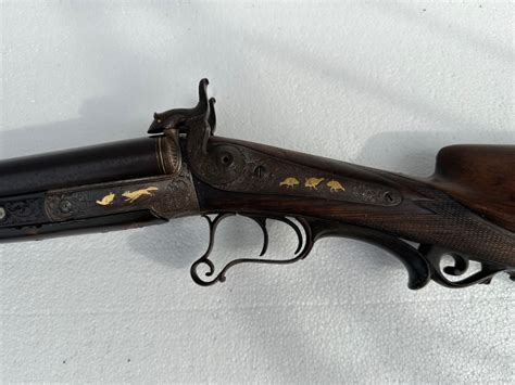 Belgium Pinfire Shotgun Antique Guns At 1030691510