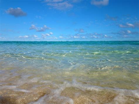 Scene of Mystery Island, Aneityum, Vanuatu. Stock Image - Image of pier, clear: 110798413