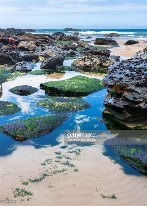 A View Of Rock Pools On A Beach In Cornwall Uk With Images Rock