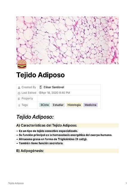 Histolog A Del Tejido Adiposo C Sar Sandoval Udocz