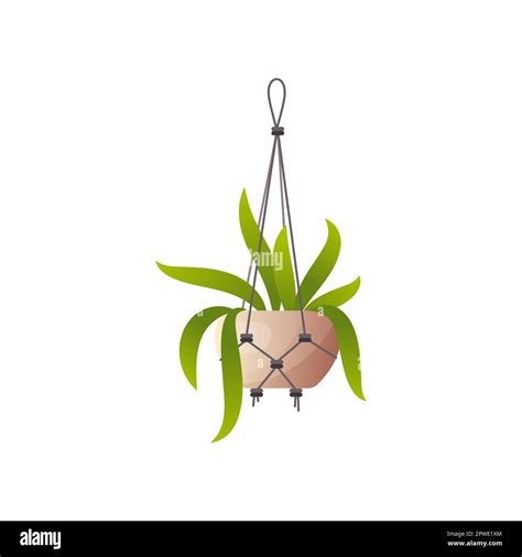 Hanging Plant In Pot Vector Illustration Stock Vector Image And Art Alamy