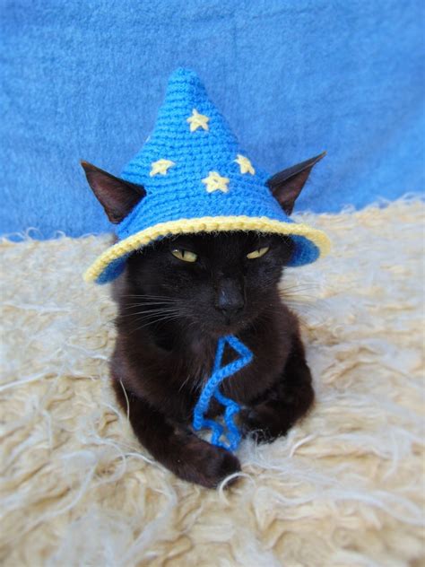 Wizard Hat for Cat Wizard Pet Costume Halloween Kitten - Etsy