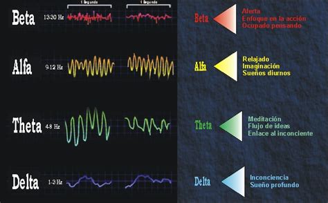 Ondas Beta Dinotube Fr