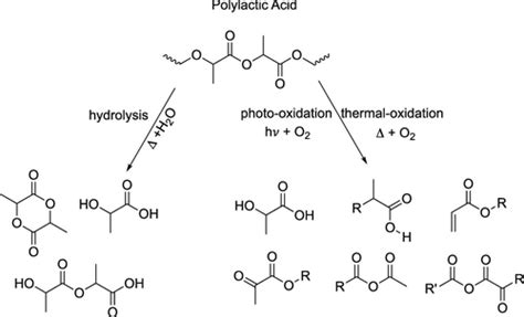 Degradation Rates Of Plastics In The Environment Acs Sustainable