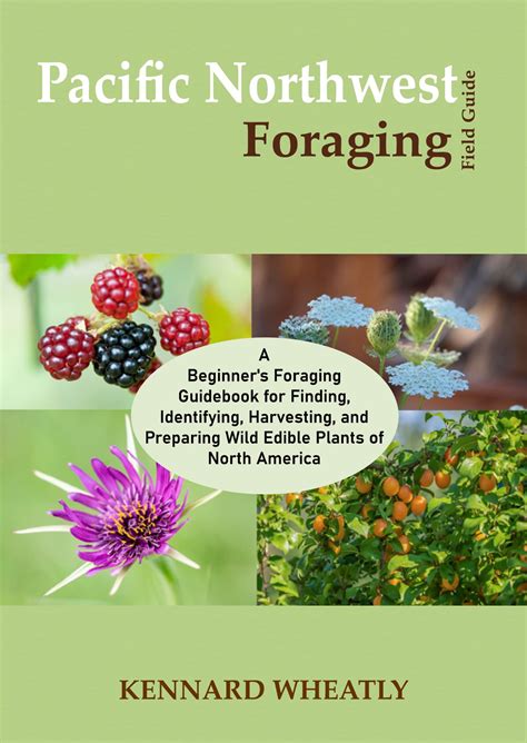 Pacific Northwest Foraging Field Guide A Beginner S Foraging Guidebook