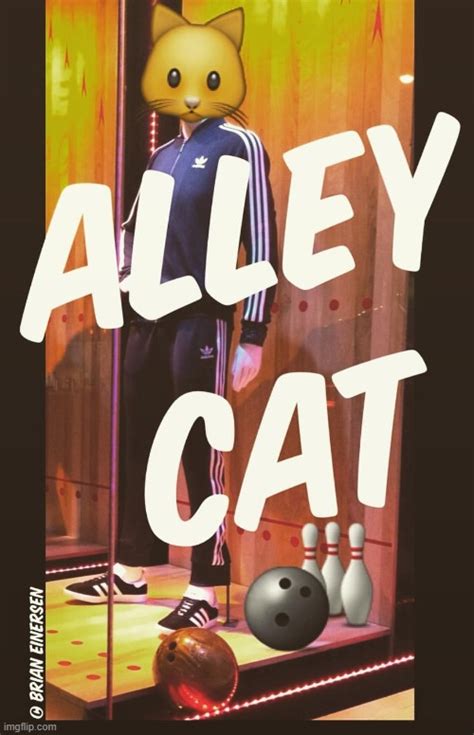 Bowling Alley Cat Imgflip