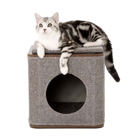 Lulus World Lu Cubox Cat Cubby In Oak Online Pet Store Cubbies Cats