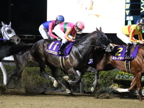 ダート重賞5勝馬テイエムサウスダンが抹消 今後は佐賀競馬に移籍 ライブドアニュース