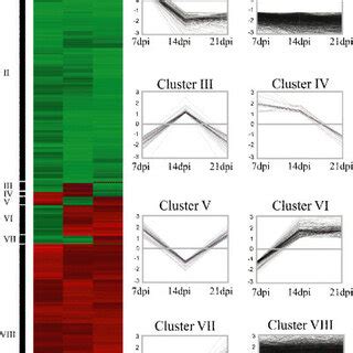 Schematic representation of gene-expression patterns. (a) Hierarchical ...