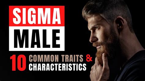 Sigma Male 10 Common Traits And Characteristics Of Sigma Male Youtube