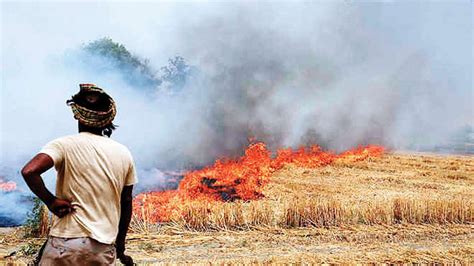 Stubble Burning More Than Farm Fires Recorded In Punjab