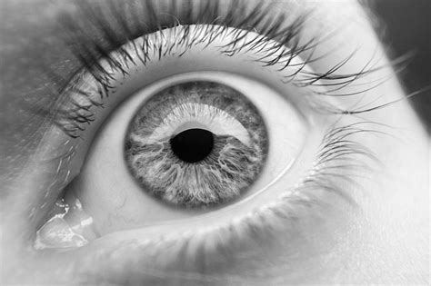 Imagenes De Ojos En Blanco Y Negro Consejos Ojos