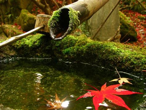 Volledig Tot Rust In De Japanse Tuin Natuurmatten Blog