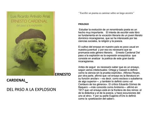 Descubre Las Mejores Frases Patrióticas Dominicanas Para Enaltecer Tu Amor Por La Patria