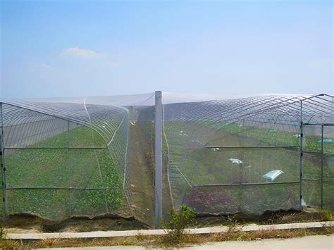 9 Benefits Of Agricultural Insect Nets You Should Know Insonshade