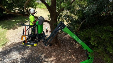 Tree Work With Leguan 225 Spider Lift Leguan Lifts