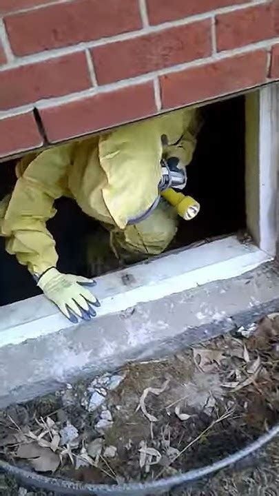 Biohazard Sewage Inspection In Crawlspace Servpro Project Manager