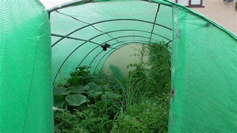 Self Sufficient Greenhouse Gardening Self Sufficient Homesteading