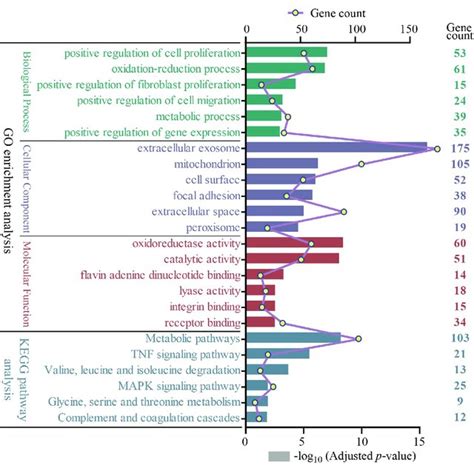 The Go And Kegg Pathway Enrichment Analysis Of 722 Overlapping Degs