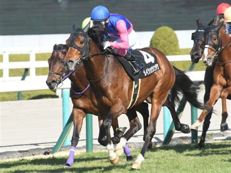 【戎橋sレース後コメント】メイショウシンタケ藤岡康太騎手ら 競馬ニュース Netkeiba